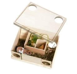 Karlie Wonderland - Rody Cleverith