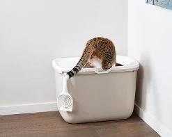 Savic Katzentoilette Hop In -Haustierprodukte katzenklo hop in 2