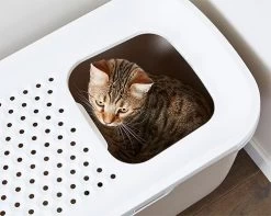 Savic Katzentoilette Hop In -Haustierprodukte katzenklo hop in 3