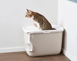 Savic Katzentoilette Hop In -Haustierprodukte katzenklo hop in 4
