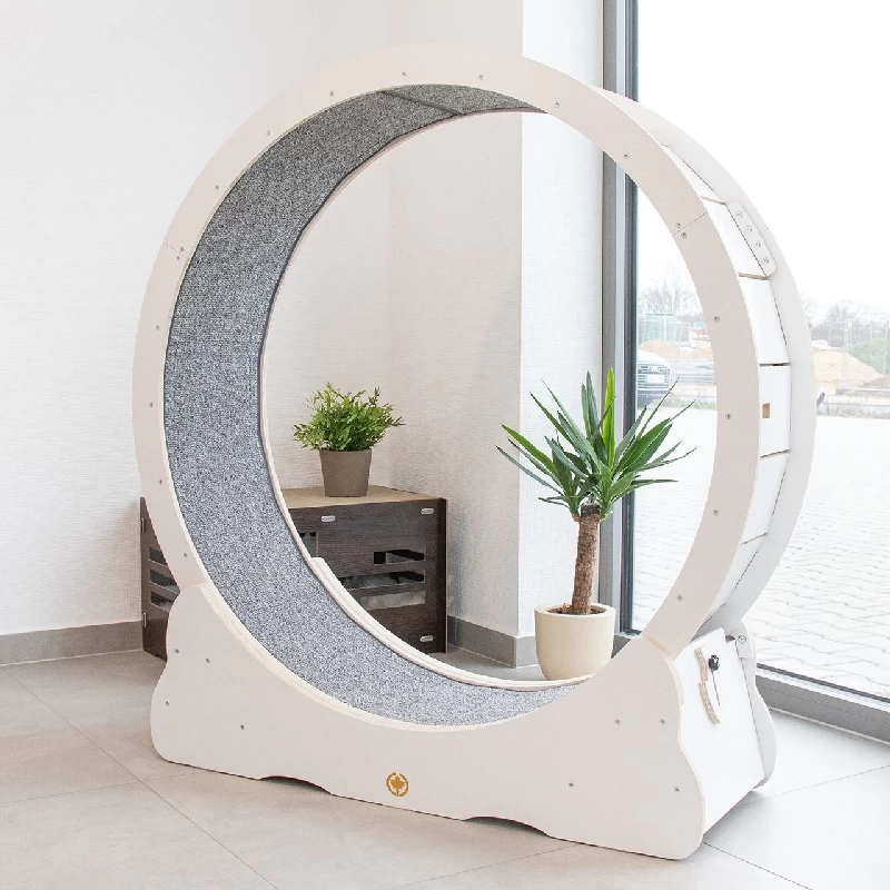 Katzen Laufrad - Bausatz XL -Ø 1,20 M 1 Katzen Laufrad - Bausatz XL -Ø 1,20 M