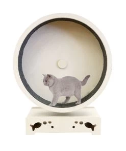Katzenlaufrad Rondulo