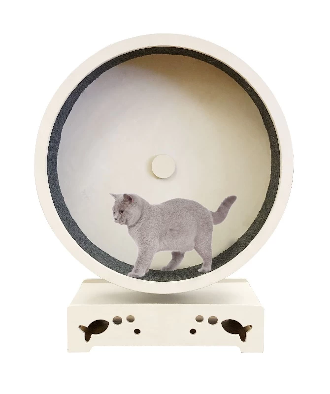 Katzenlaufrad Rondulo 1 Katzenlaufrad Rondulo