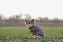 Trixie Pullover Kenton Taupe - 27cm 9 Trixie Pullover Kenton Taupe - 27cm -Haustierprodukte kenton taupe 3