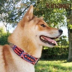 Kinakú Halsband Akumal -Haustierprodukte kinaku halsband akumal foto