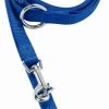 Hundeleine Blau
