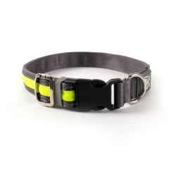 Freezack Light Collar Leuchthalsband Gelb