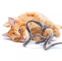 Mimish Monte Die Maus In Grau -Haustierprodukte mimis daughters monte