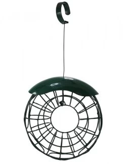 Nobby Meisenknödel Ring