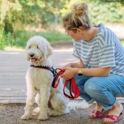 Nobby Norwegergeschirr Mesh Preno -Haustierprodukte nobby mesh geschirr 1