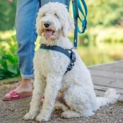 Nobby Norwegergeschirr Mesh Preno -Haustierprodukte nobby mesh geschirr 2