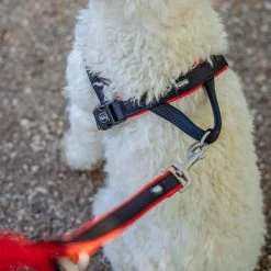 Nobby Norwegergeschirr Mesh Preno -Haustierprodukte nobby mesh geschirr