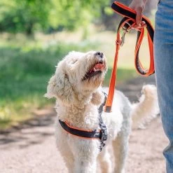 Nobby Norwegergeschirr Mesh Preno -Haustierprodukte nobby mesh geschirr 3