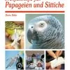 Notfallhilfe Für Papageien Und Sittiche