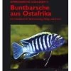 Buntbarsche Aus Ostafrika