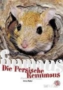 Die Persische Rennmaus