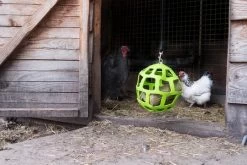 Pickstangen -Haustierprodukte pickstangen 4