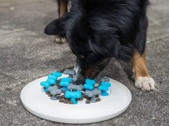 Procyon Antischlingnapf 7 Procyon Antischlingnapf -Haustierprodukte procyon antischlingnapf 3