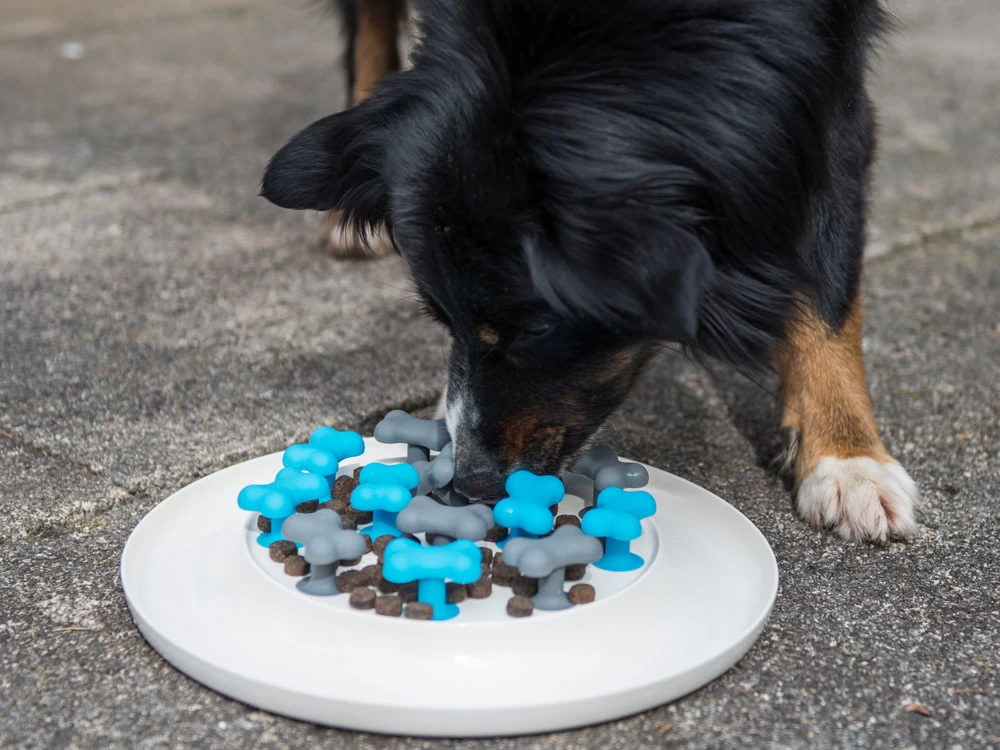 Procyon Antischlingnapf 3 Procyon Antischlingnapf - Image 3