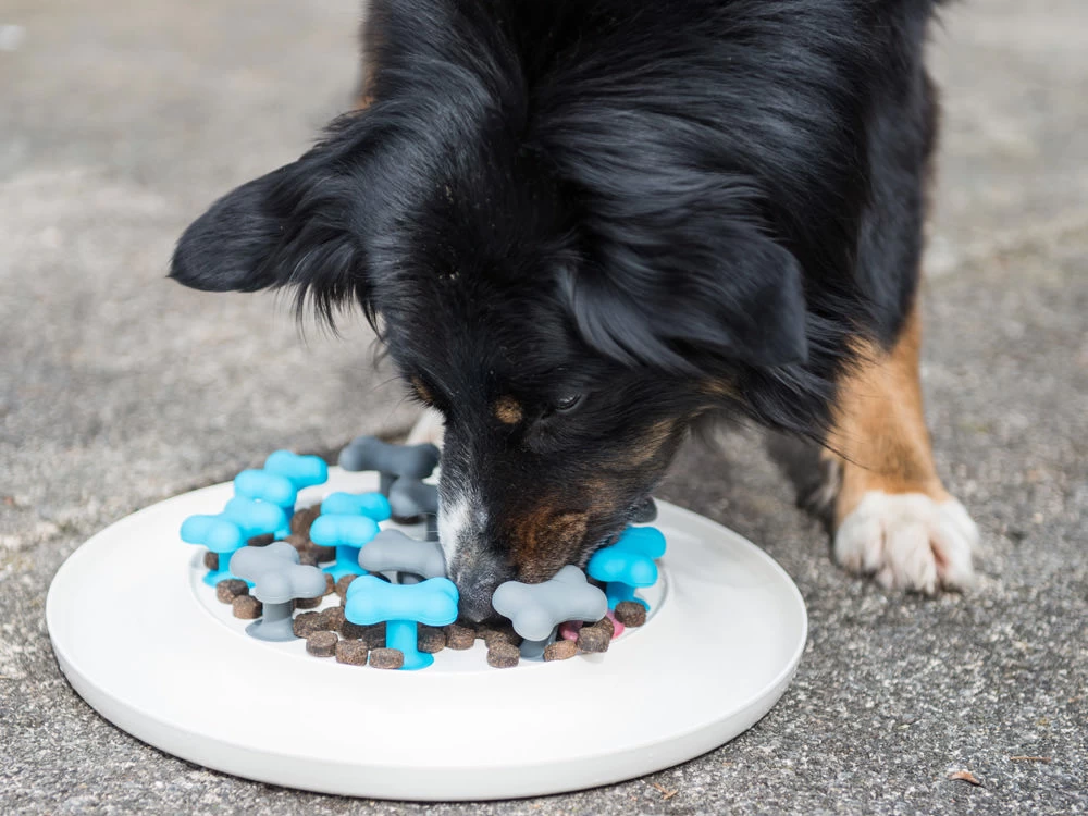 Procyon Antischlingnapf 4 Procyon Antischlingnapf - Image 4