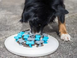 Procyon Antischlingnapf 9 Procyon Antischlingnapf -Haustierprodukte procyon antischlingnapf 5