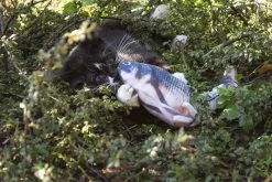 Diverse Robocat - Zappelfisch -Haustierprodukte robocat zappel fisch 2