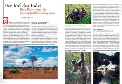 Rodentia 71 - Springmäuse -Haustierprodukte rodentia 71 2