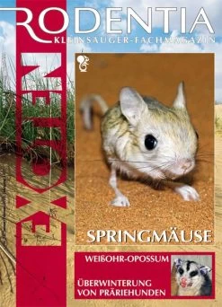 Rodentia 71 - Springmäuse