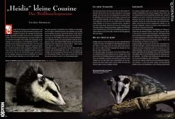 Rodentia 71 - Springmäuse -Haustierprodukte rodentia 71 3