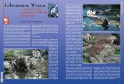 Rodentia 83 - Lebensraum Wasser 6 Rodentia 83 - Lebensraum Wasser -Haustierprodukte rodentia 83 lebensraum wasser 3