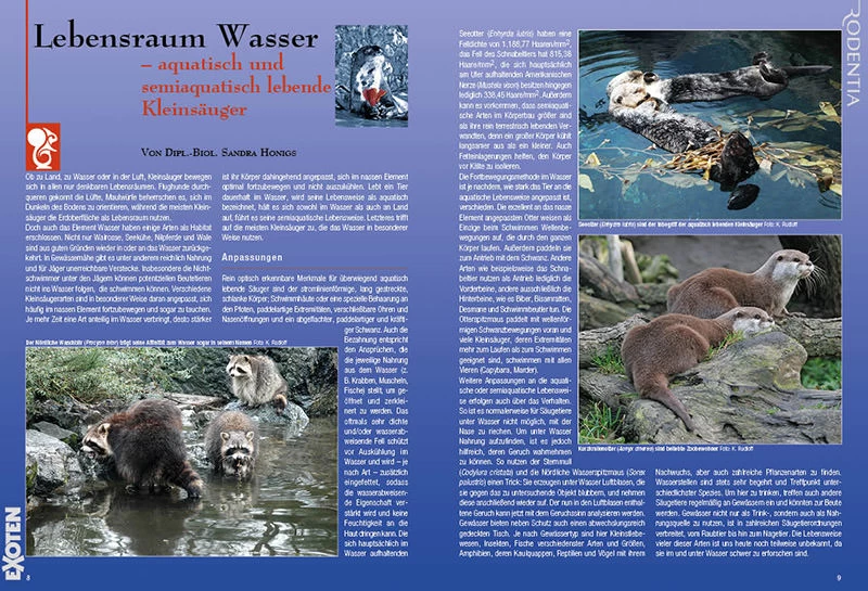 Rodentia 83 - Lebensraum Wasser 3 Rodentia 83 - Lebensraum Wasser - Image 3