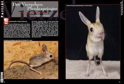 Rodentia 83 - Lebensraum Wasser 7 Rodentia 83 - Lebensraum Wasser -Haustierprodukte rodentia 83 lebensraum wasser 4