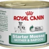ROYAL CANIN Starter Mousse 12x195g