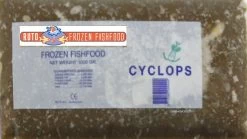 Ruto Cyclops Flat Pack