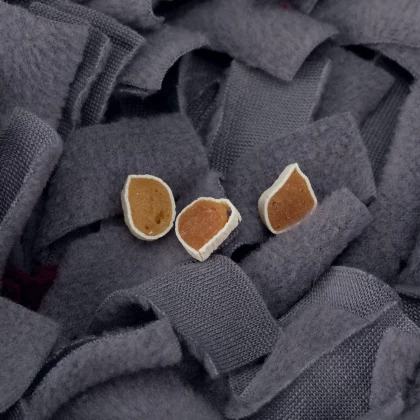 Trixie Schnüffelteppich Strategie-Spiel 4 Trixie Schnüffelteppich Strategie-Spiel - Image 4