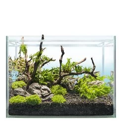 Sera Scaper Cube Starterset -Haustierprodukte sera scaper cube 48l