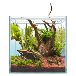 Sera Scaper Cube Starterset -Haustierprodukte sera scaper cube 64l