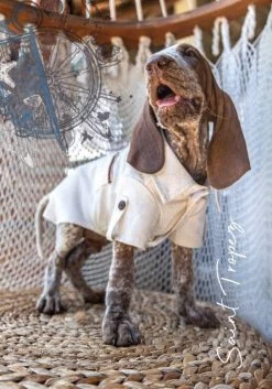 Croci Leinen Shirt Für Hunde