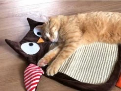 Sisalkratzbrett Schmuse-Eule -Haustierprodukte sisal kratzbrett eule 1