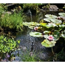 Diverse Solarpumpen-Set Ascona -Haustierprodukte solar pumpen set ascona 4