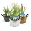 Diverse Terrassenteich Set - Zink Wanne