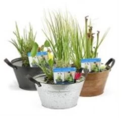 Diverse Terrassenteich Set - Zink Wanne