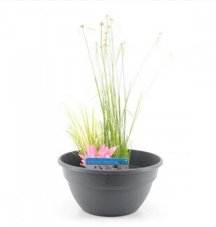 Diverse Terrassenteich Set - Plastikschalen 2 Diverse Terrassenteich Set - Plastikschalen - Image 2