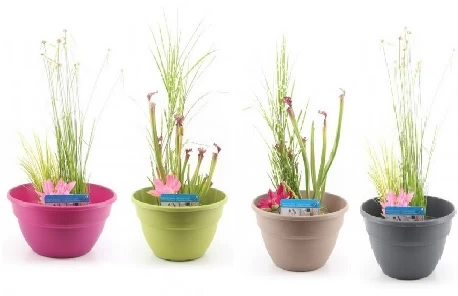 Diverse Terrassenteich Set - Plastikschalen 1 Diverse Terrassenteich Set - Plastikschalen