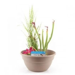 Diverse Terrassenteich Set - Plastikschalen 7 Diverse Terrassenteich Set - Plastikschalen -Haustierprodukte song grow plastik taupe