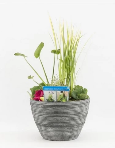 Diverse Terrassenteich Set - De Luxe Keramikoptik 2 Diverse Terrassenteich Set - De Luxe Keramikoptik - Image 2