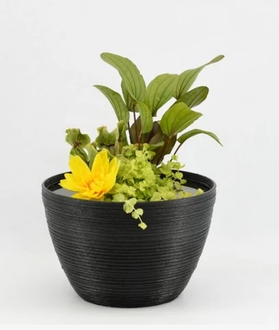 Diverse Terrassenteich Set - De Luxe Keramikoptik 3 Diverse Terrassenteich Set - De Luxe Keramikoptik - Image 3