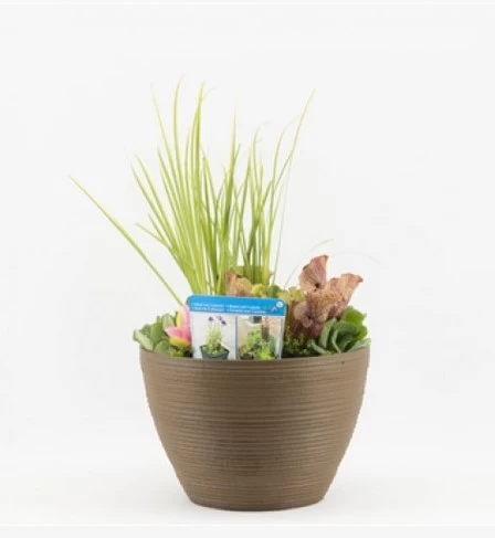 Diverse Terrassenteich Set - De Luxe Keramikoptik 4 Diverse Terrassenteich Set - De Luxe Keramikoptik - Image 4