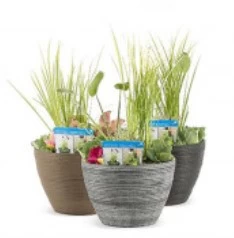 Diverse Terrassenteich Set - De Luxe Keramikoptik