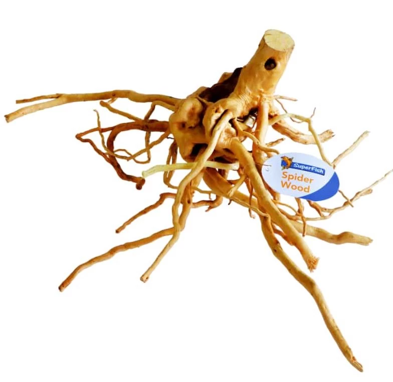 SuperFish Rote Moorwurzel - Spiderwood 1 SuperFish Rote Moorwurzel - Spiderwood